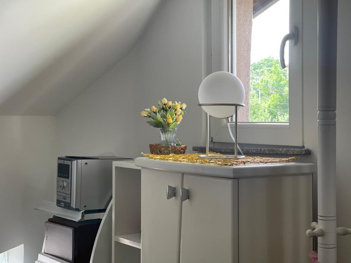 Apartament Pahuljica Kruševac